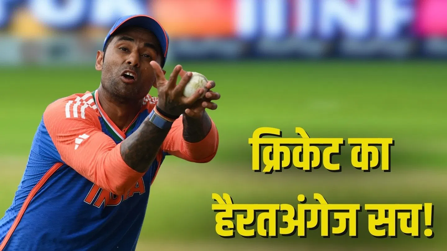 Cricket Rules: क्रिकेट में कैच पकड़ने के बाद फील्डर गेंद को हवा में क्यों उछालता है? Cricket Rules: क्रिकेट में कैच पकड़ने के बाद फील्डर गेंद को हवा में क्यों उछालता है?
