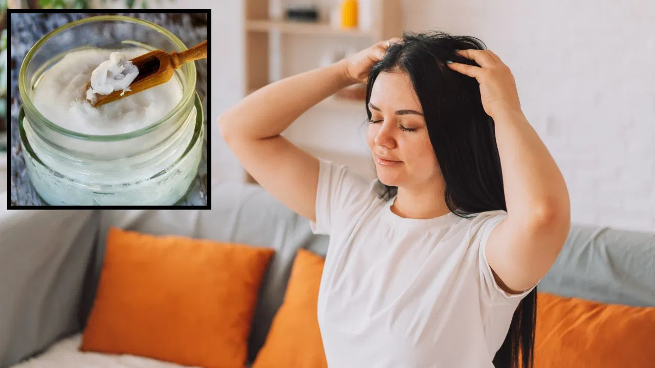 Haircare Tips : हेयर फॉल रुकेगा, डैंड्रफ भी होगा खत्म….नारियल तेल में मिलाकर लगा लें ये एक चीज Haircare Tips : हेयर फॉल रुकेगा, डैंड्रफ भी होगा खत्म....नारियल तेल में मिलाकर लगा लें ये एक चीज