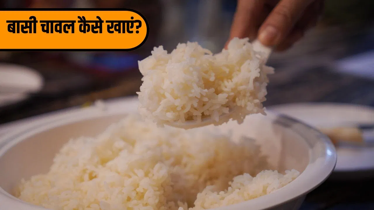 Leftover Rice: बासी चावल खाना सही या गलत? जानें क्या कहते हैं एक्सपर्ट Leftover Rice: बासी चावल खाना सही या गलत? जानें क्या कहते हैं एक्सपर्ट