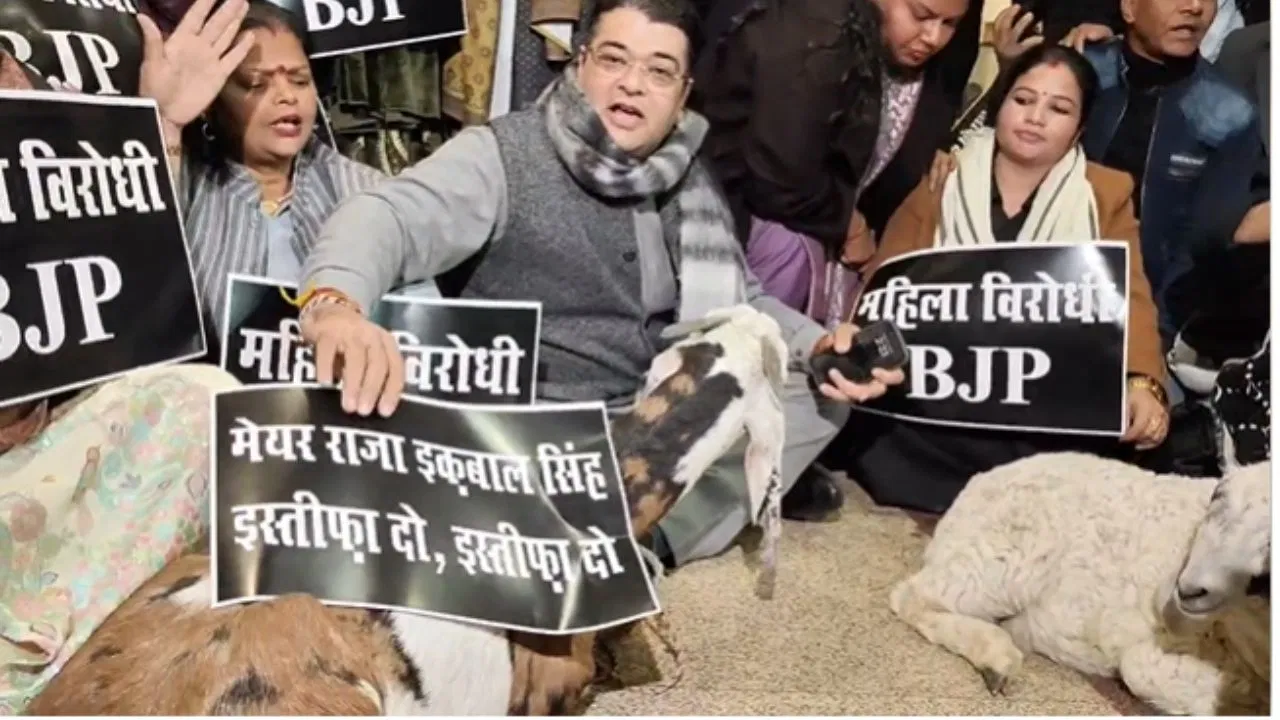 MCD मेयर की टिप्पणी पर भड़की AAP,भेड़-बकरियों के साथ पार्षदों ने किया प्रदर्शन, राजा इकबाल का मांगा इस्तीफा MCD मेयर की टिप्पणी पर भड़की AAP,भेड़-बकरियों के साथ पार्षदों ने किया प्रदर्शन, राजा इकबाल का मांगा इस्तीफा