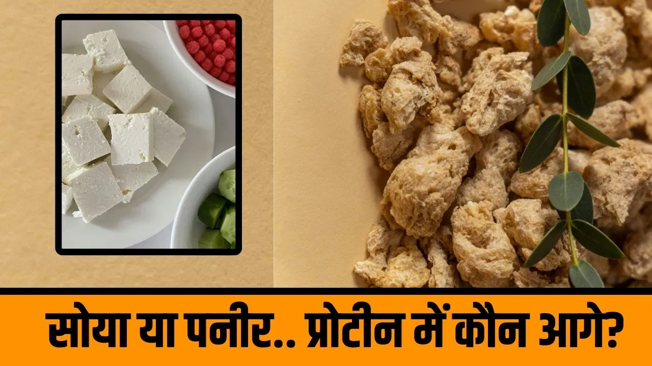 Soya Chunks vs Paneer: सोया या पनीर…शाकाहारियों के लिए प्रोटीन का बेहतर सोर्स कौन सा है? Soya Chunks vs Paneer: सोया या पनीर...शाकाहारियों के लिए प्रोटीन का बेहतर सोर्स कौन सा है?