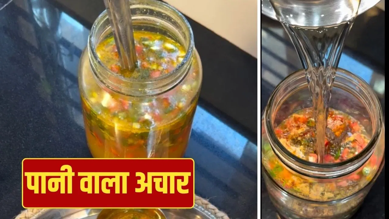 Winter Special Pickle: तेल नहीं पानी वाला अचार…इस सर्दी जरूर ट्राई करें ये रेसिपी Winter Special Pickle: तेल नहीं पानी वाला अचार...इस सर्दी जरूर ट्राई करें ये रेसिपी