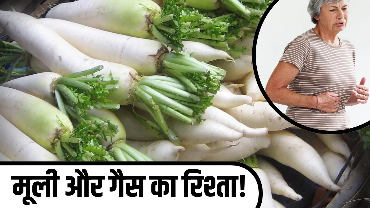 Winter food Radish: न बनेगी गैस, न फूलेगा पेट… सर्दी में बस इस तरह खाएं मूली Winter food Radish: न बनेगी गैस, न फूलेगा पेट... सर्दी में बस इस तरह खाएं मूली