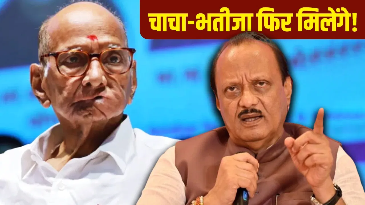 अजित पवार पर संजय राउत ने फिर चला दांव, बोले- छोड़ दो BJP, शरद के पास वापस लौट आओ अजित पवार पर संजय राउत ने फिर चला दांव, बोले- छोड़ दो BJP, शरद के पास वापस लौट आओ