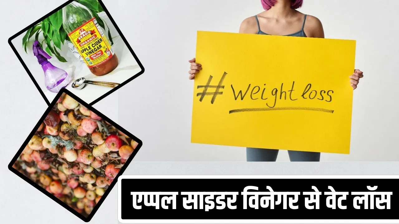 एप्पल साइडर विनेगर से वजन घटाना कितना खतरनाक? एक्सपर्ट ने बताया सच एप्पल साइडर विनेगर से वजन घटाना कितना खतरनाक? एक्सपर्ट ने बताया सच