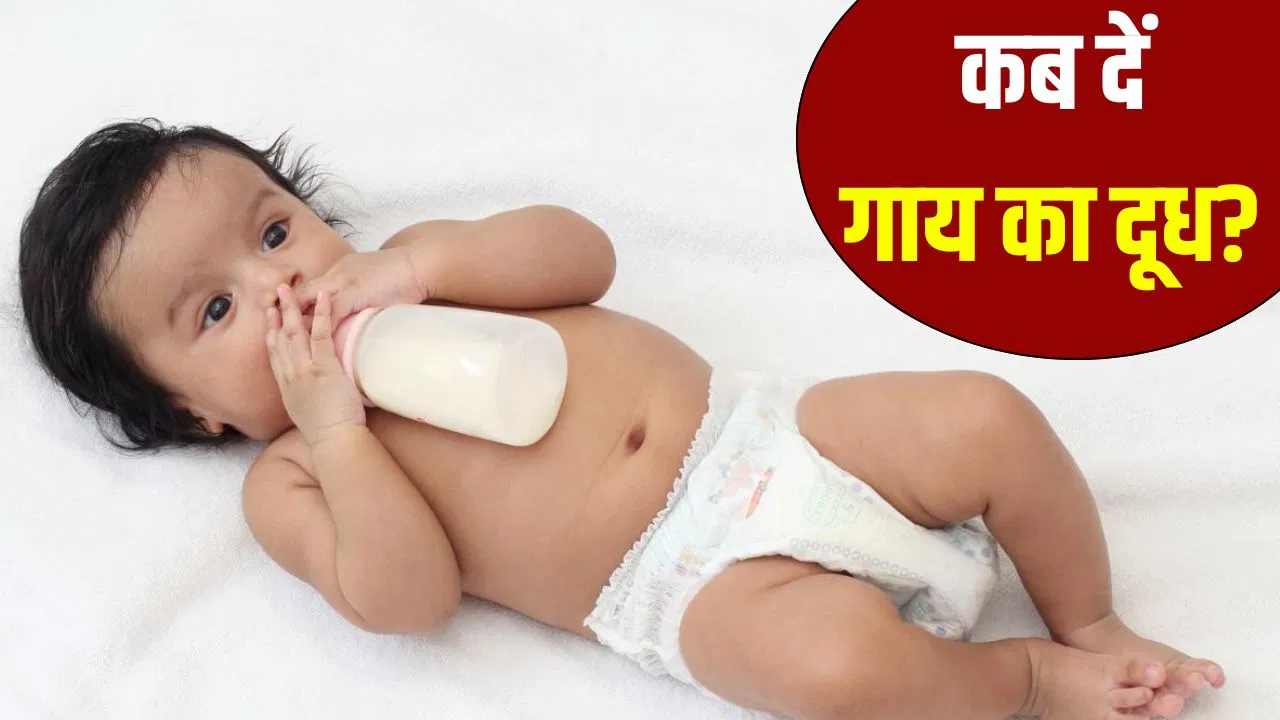 किस उम्र में बच्चों को गाय का दूध पिलाना शुरू कर सकते हैं? एक्सपर्ट से जानें किस उम्र में बच्चों को गाय का दूध पिलाना शुरू कर सकते हैं? एक्सपर्ट से जानें