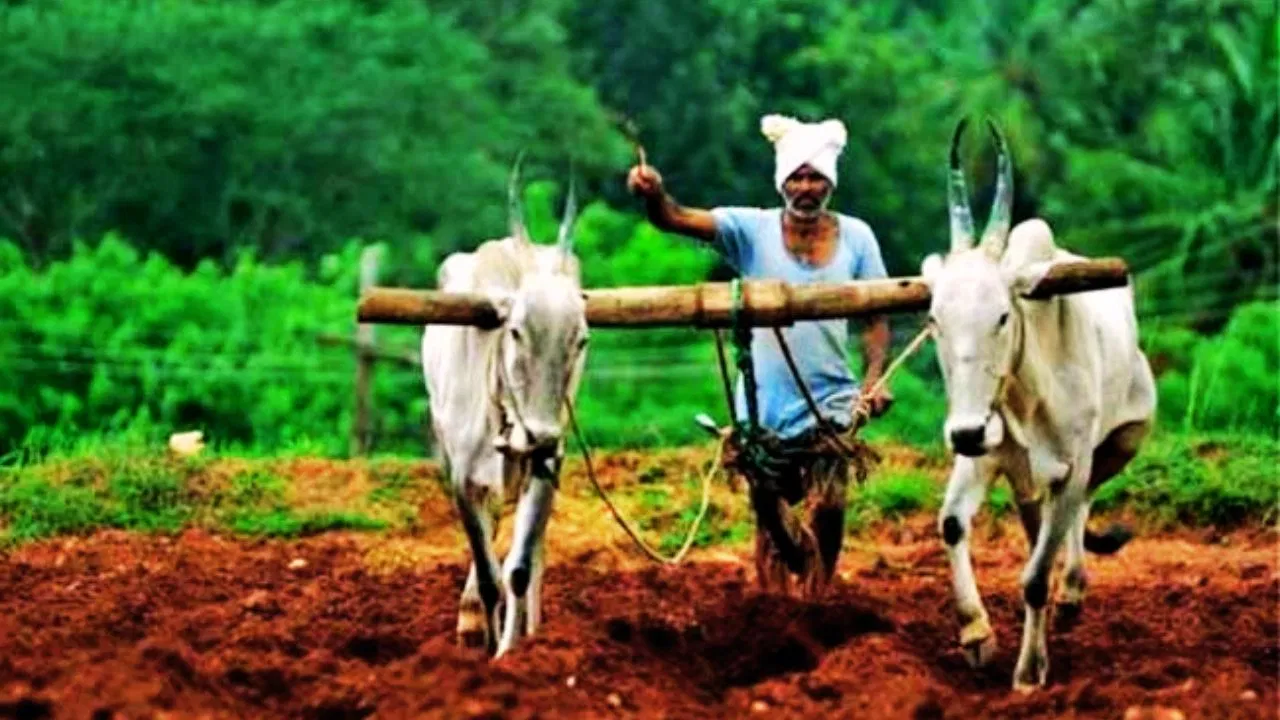 किस राज्य के किसानों की कमाई देश में सबसे कम? पिछले 5 राज्यों में यूपी का नाम किस राज्य के किसानों की कमाई देश में सबसे कम? पिछले 5 राज्यों में यूपी का नाम