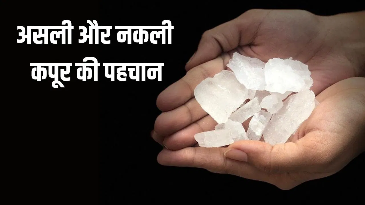 केमिकल वाले सिंथेटिक और असली कपूर को कैसे पहचानें? ये रहे 5 सिंपल तरीके केमिकल वाले सिंथेटिक और असली कपूर को कैसे पहचानें? ये रहे 5 सिंपल तरीके