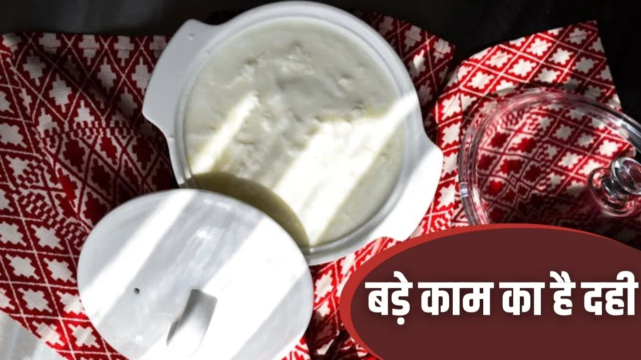 खाने के अलावा इतने काम में आता है दही, चेहरे से लेकर बर्तन चमकेंगे खाने के अलावा इतने काम में आता है दही, चेहरे से लेकर बर्तन चमकेंगे