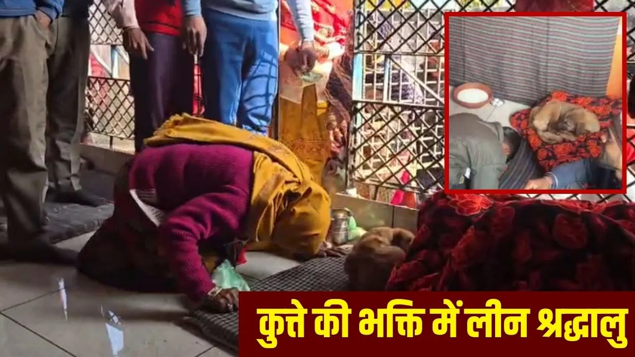 ‘जय हो भैरव नाथ की’… 120 घंटे तक कुत्ते ने की मंदिर की परिक्रमा, अब श्रद्धालु कर रहे उसकी पूजा- Video 'जय हो भैरव नाथ की'... 120 घंटे तक कुत्ते ने की मंदिर की परिक्रमा, अब श्रद्धालु कर रहे उसकी पूजा- Video