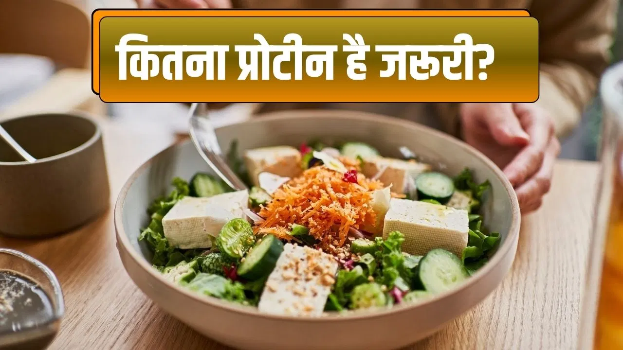 जरूरत से ज्यादा प्रोटीन लेना फायदेमंद है या नुकसानदायक? एक्सपर्ट से जानें जरूरत से ज्यादा प्रोटीन लेना फायदेमंद है या नुकसानदायक? एक्सपर्ट से जानें