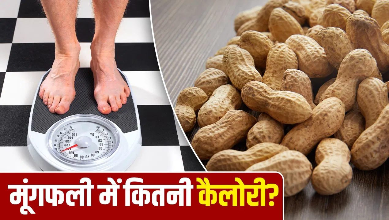 मूंगफली खाने से वजन घटता है या बढ़ता? डायटिशियन ने बताया मूंगफली खाने से वजन घटता है या बढ़ता? डायटिशियन ने बताया