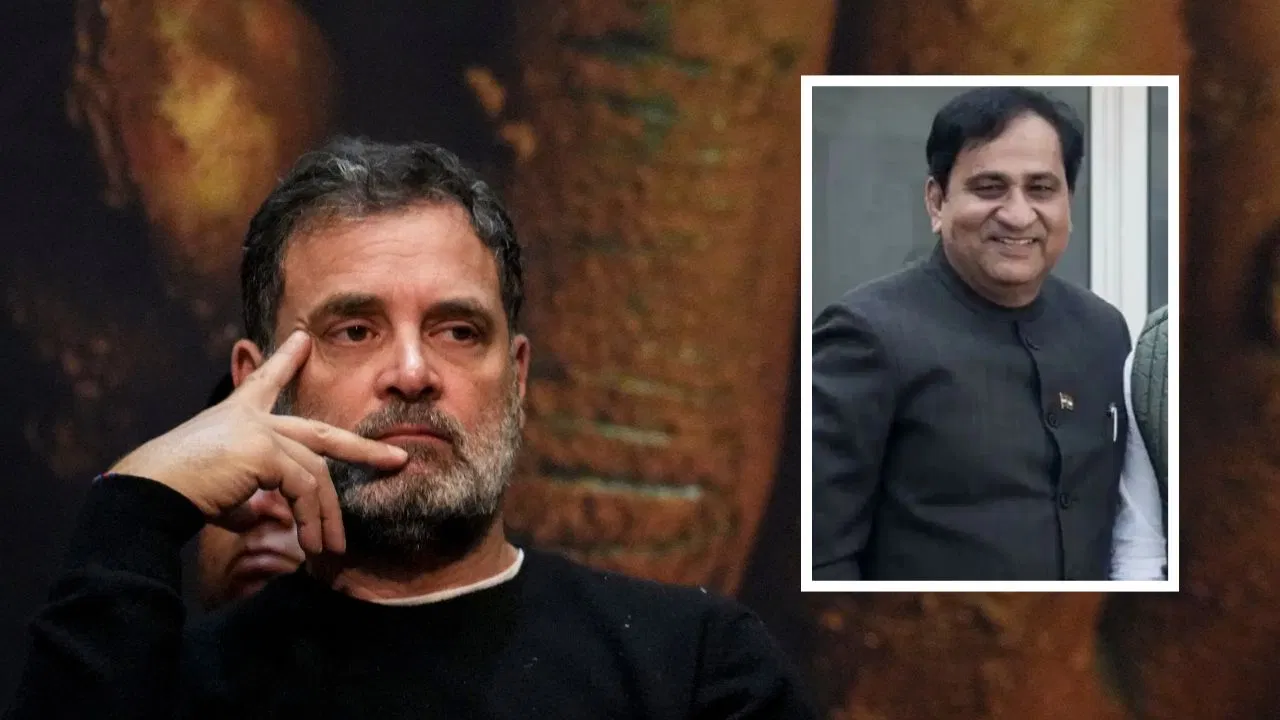 राहुल गांधी और कांग्रेस का सच उजागर… शकील अहमद के बयान को लेकर BJP हुई हमलावर राहुल गांधी और कांग्रेस का सच उजागर... शकील अहमद के बयान को लेकर BJP हुई हमलावर