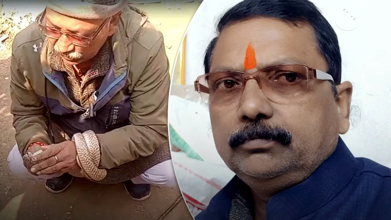 शिवहर में सांप को पकड़कर बच्चों से बनवा रहे थे रील, डसने के बाद शिक्षक की मौत; VIDEO शिवहर में सांप को पकड़कर बच्चों से बनवा रहे थे रील, डंसने के बाद शिक्षक की मौत; VIDEO