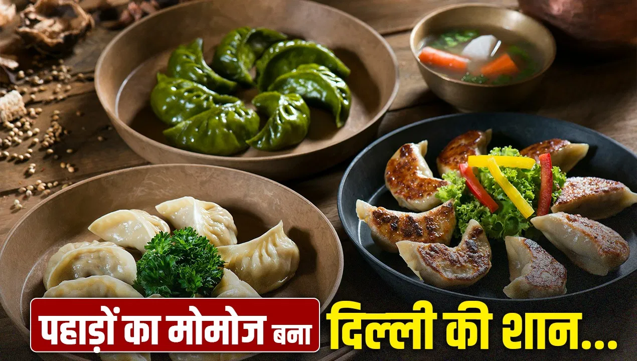 स्टीम हो या तंदूरी…हर जुबां पर मोमोज का स्वाद, 25 साल में ये कैसे बना स्ट्रीट फूड ‘किंग’ स्टीम हो या तंदूरी...हर जुबां पर मोमोज का स्वाद, 25 साल में ये कैसे बना स्ट्रीट फूड 'किंग'