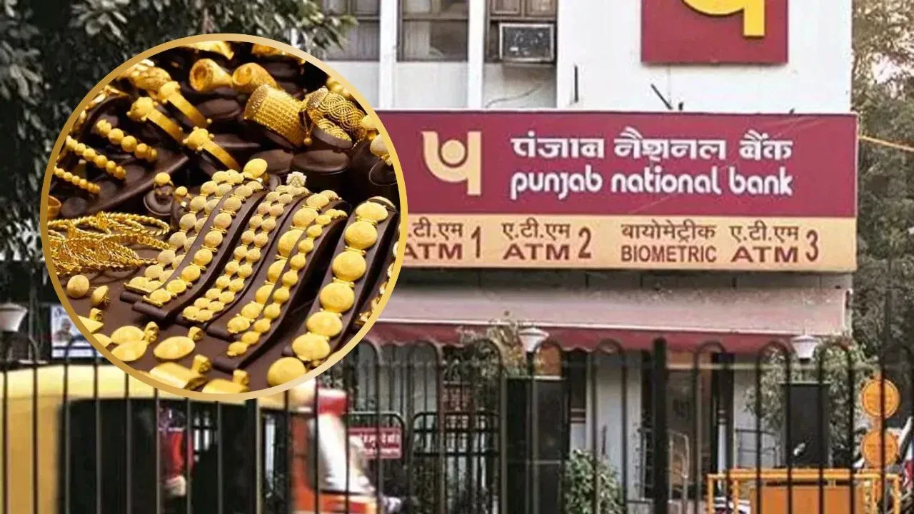 73 पैकेटों में असली गोल्ड की जगह नकली रखा, झुंझुनूं में बैंक में रखा करोड़ों का सोना गायब, 3 पर केस 73 पैकेटों में असली गोल्ड की जगह नकली रखा, झुंझुनूं में बैंक में रखा करोड़ों का सोना गायब, 3 पर केस