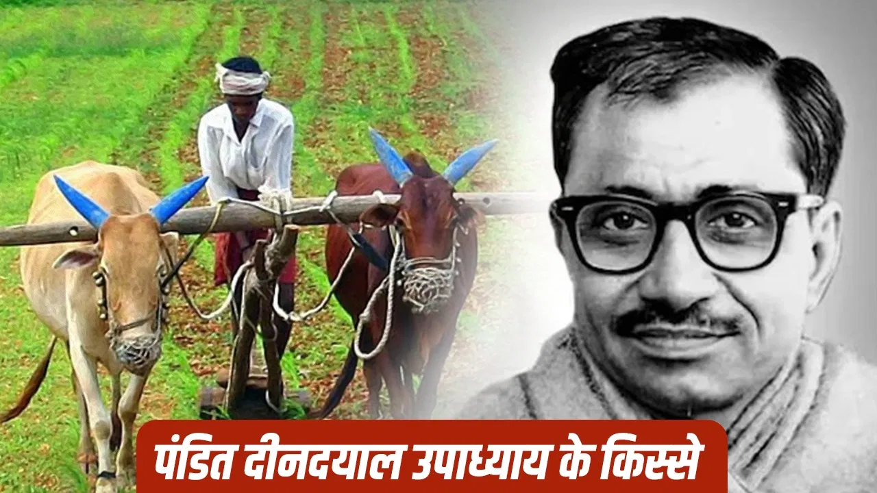 Deen Dayal Upadhyaya Death Anniversary: किसानों को देश की रीढ़ क्यों मानते थे दीनदयाल उपाध्याय? सहकारी खेती पर नेहरू से थे मतभेद Deen Dayal Upadhyaya Death Anniversary: किसानों को देश की रीढ़ क्यों मानते थे दीनदयाल उपाध्याय? सहकारी खेती पर नेहरू से थे मतभेद