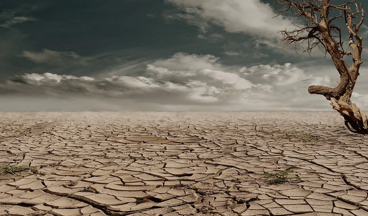 Kenya Drought | केन्या में सूखे का तांडव! 20 लाख लोग भुखमरी की कगार पर, मंडेरा जिले में ‘चेतावनी’ स्तर पर पहुंचा संकट Kenya Drought | केन्या में सूखे का तांडव! 20 लाख लोग भुखमरी की कगार पर, मंडेरा जिले में 'चेतावनी' स्तर पर पहुंचा संकट