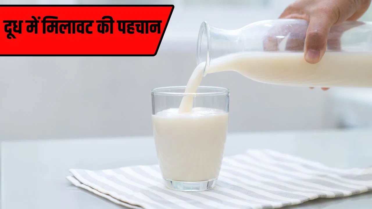 Milk Adulteration: दूध में पानी मिला है या डिजर्ट, इन तरीकों से चुटकियों में पहचानें Milk Adulteration: दूध में पानी मिला है या डिजर्ट, इन तरीकों से चुटकियों में पहचानें
