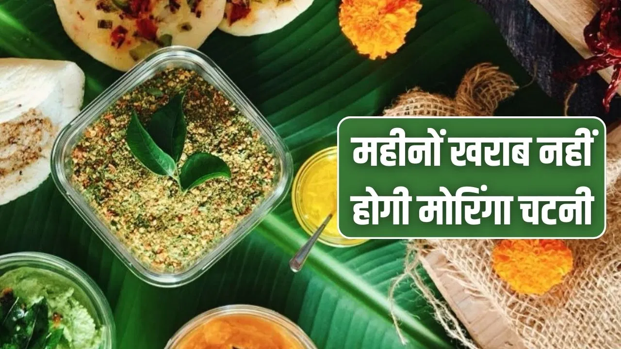 Moringa Chutney Recipe: खून से भरी रहेगी नस-नस, मोरिंगा चटनी एक बार बनाएं महीनेभर खाएं Moringa Chutney Recipe: खून से भरी रहेगी नस-नस, मोरिंगा चटनी एक बार बनाएं महीनेभर खाएं