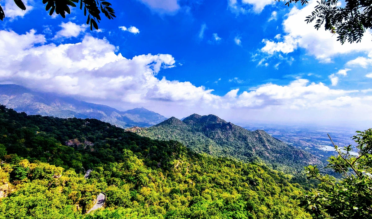 Mount Abu Budget Trip: सिर्फ 10 हजार में ऐसे करें ट्रिप प्लान, एक भी रुपया नहीं होगा एक्स्ट्रा खर्च। Mount Abu Budget Trip: सिर्फ 10 हजार में ऐसे करें ट्रिप प्लान, एक भी रुपया नहीं होगा एक्स्ट्रा खर्च।