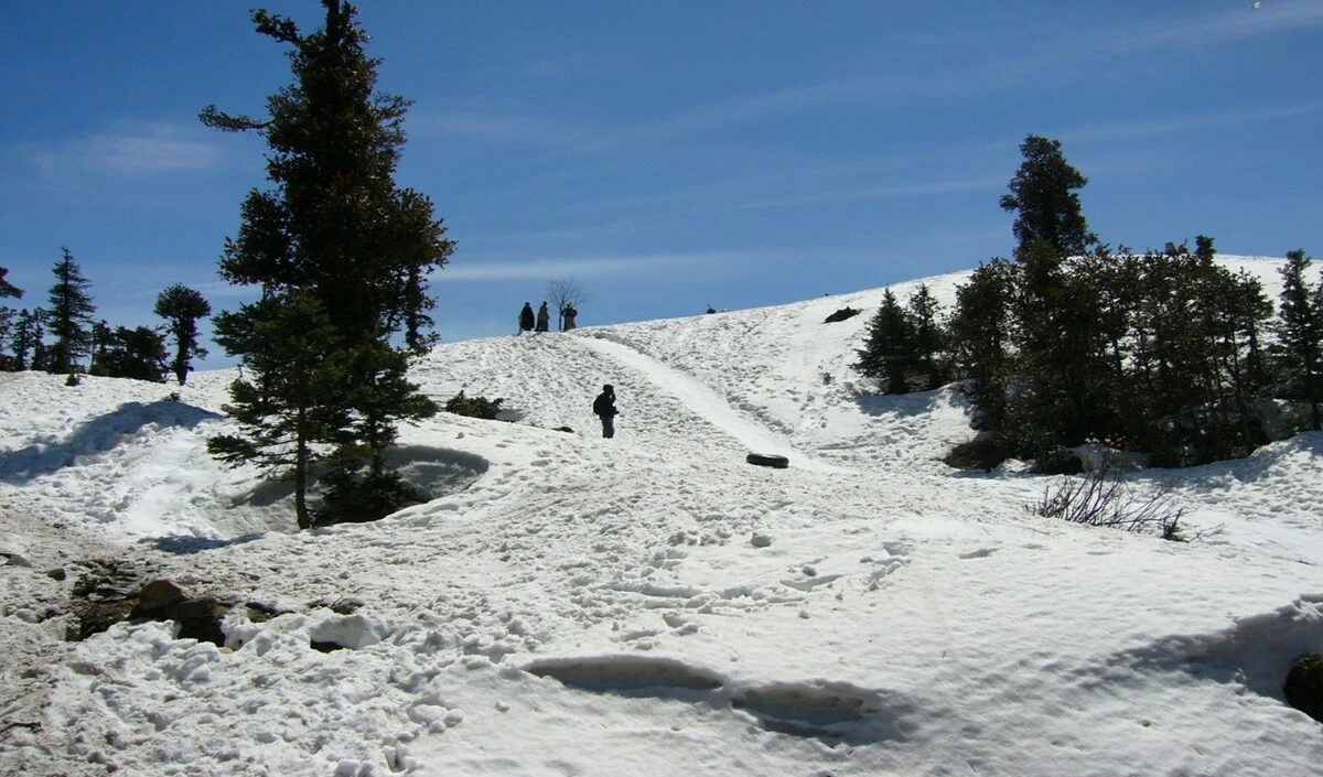Travel Tips: पहाड़ों पर बिछी बर्फ की चादर! ये Winter Destination बने जन्नत, बना लें घूमने का शानदार Plan Travel Tips: पहाड़ों पर बिछी बर्फ की चादर! ये Winter Destination बने जन्नत, बना लें घूमने का शानदार Plan