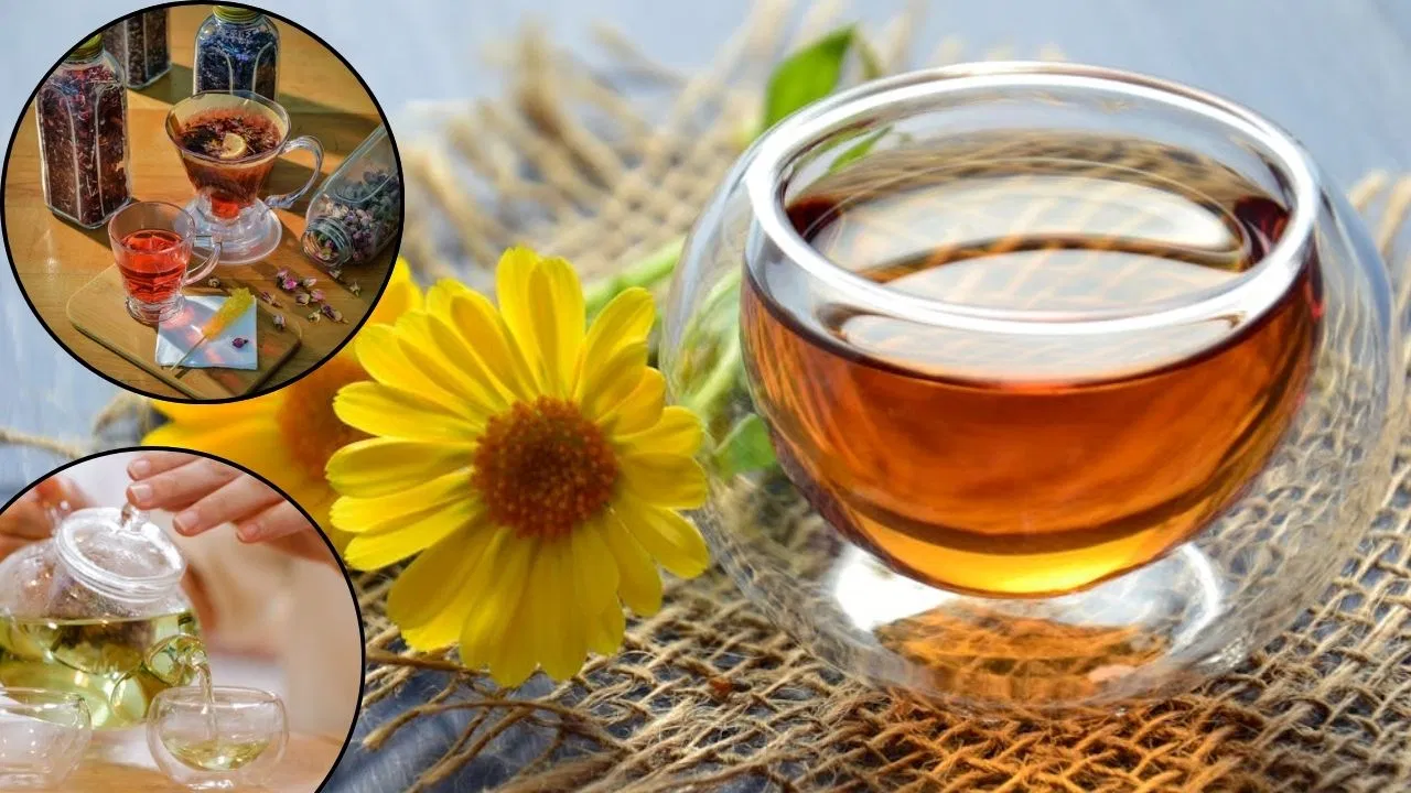 Warm Drinks For Winters: 5 गर्म ड्रिंक जो शरीर को रखेंगी सर्दी में हाइड्रेट, न्यूट्रिएंट्स भी मिलेंगे Warm Drinks For Winters: 5 गर्म ड्रिंक जो शरीर को रखेंगी सर्दी में हाइड्रेट, न्यूट्रिएंट्स भी मिलेंगे