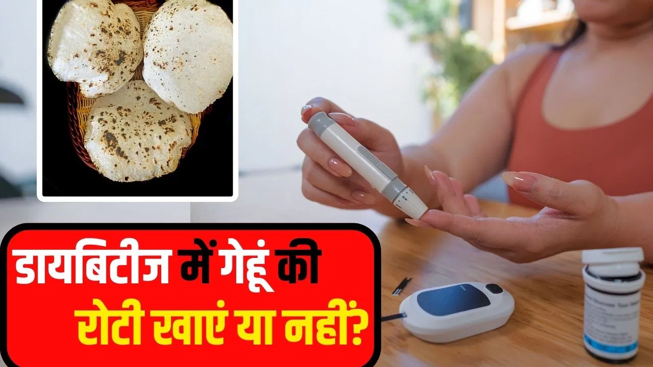 Wheat Roti for Diabetes: क्या रोज गेहूं की रोटी खाने से शुगर बढ़ती है? एक्सपर्ट ने बताया पूरा सच Wheat Roti for Diabetes: क्या रोज गेहूं की रोटी खाने से शुगर बढ़ती है? एक्सपर्ट ने बताया पूरा सच