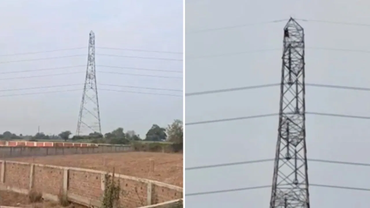इंदौर: ‘पढ़ाई रोकोगे तो जान दे दूंगी…’ 400 KV टॉवर पर चढ़ गई महिला, गांव में मच गया हड़कंप; पहुंचे अफसर इंदौर: 'पढ़ाई रोकोगे तो जान दे दूंगी...' 400 KV टॉवर पर चढ़ गई महिला, गांव में मच गया हड़कंप; पहुंचे अफसर