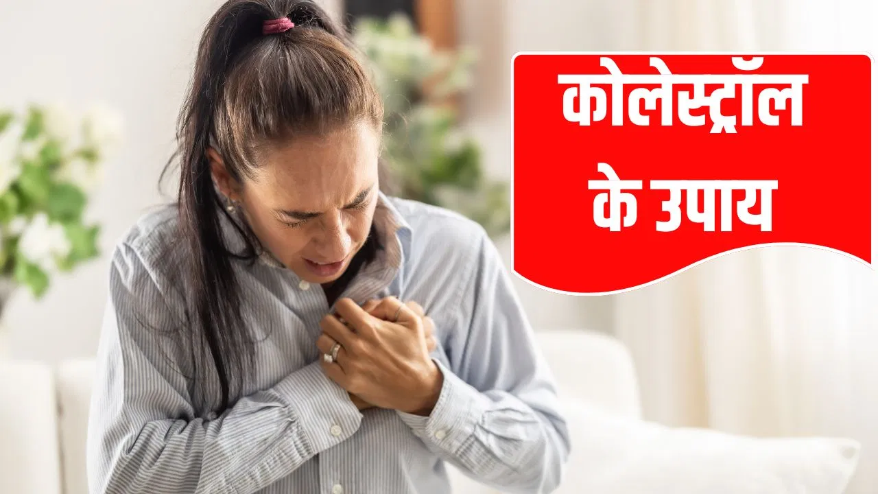 कब और कैसे बढ़ता है कोलेस्ट्रॉल? आयु्र्वेद से जानें कारण और उपाय कब और कैसे बढ़ता है कोलेस्ट्रॉल? आयु्र्वेद से जानें कारण और उपाय