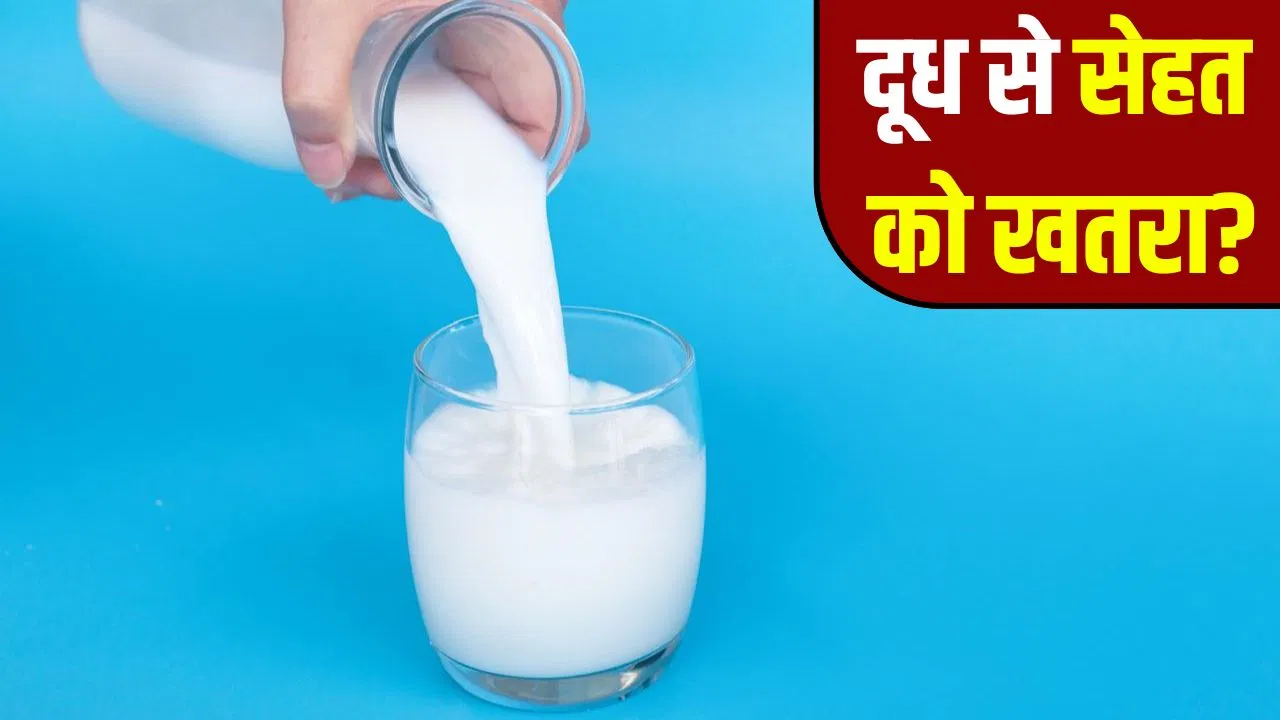 दूध के बैक्टीरिया कितने खतरनाक, इनको कैसे करें खत्म? दूध के बैक्टीरिया कितने खतरनाक, इनको कैसे करें खत्म?