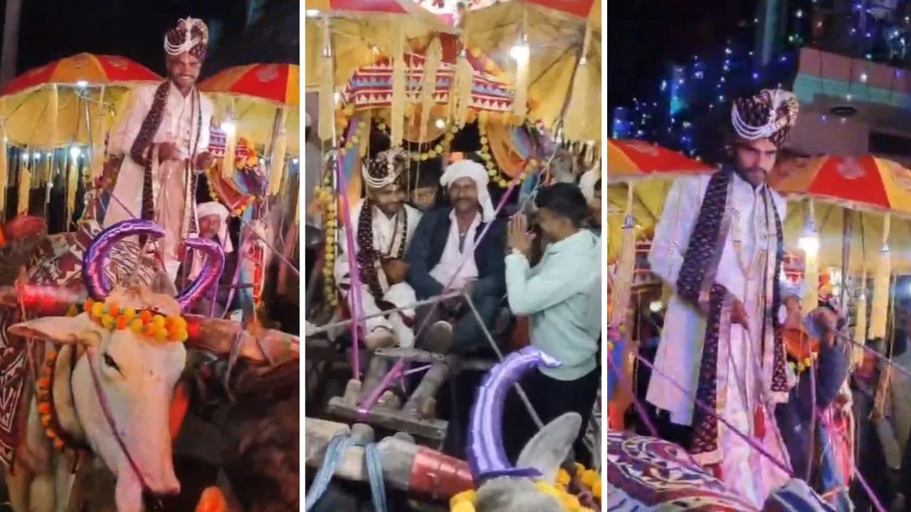न कार, न हेलिकॉप्टर… महोबा में दुल्हन को लेने बैलगाड़ी से पहुंचा दूल्हा, ससुराल में हुई फूलों बारिश; देखें Video न कार, न हेलिकॉप्टर... महोबा में दुल्हन को लेने बैलगाड़ी से पहुंचा दूल्हा, ससुराल में हुई फूलों बारिश; देखें Video