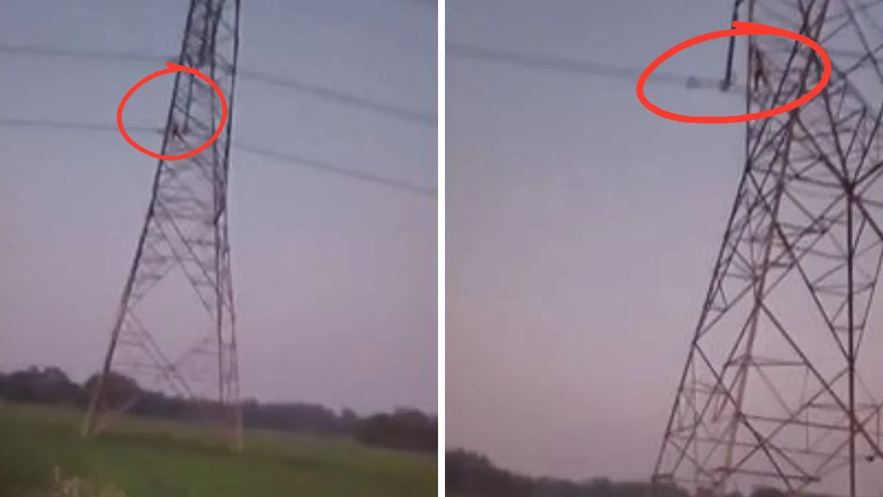 बॉयफ्रेंड संग भाग गई पत्नी, सदमे में बिजली के खंभे पर चढ़ गया पति, फिर शुरू हुआ हाईवोल्टेज ड्रामा बॉयफ्रेंड संग भाग गई पत्नी, सदमे में बिजली के खंभे पर चढ़ गया पति, फिर शुरू हुआ हाईवोल्टेज ड्रामा