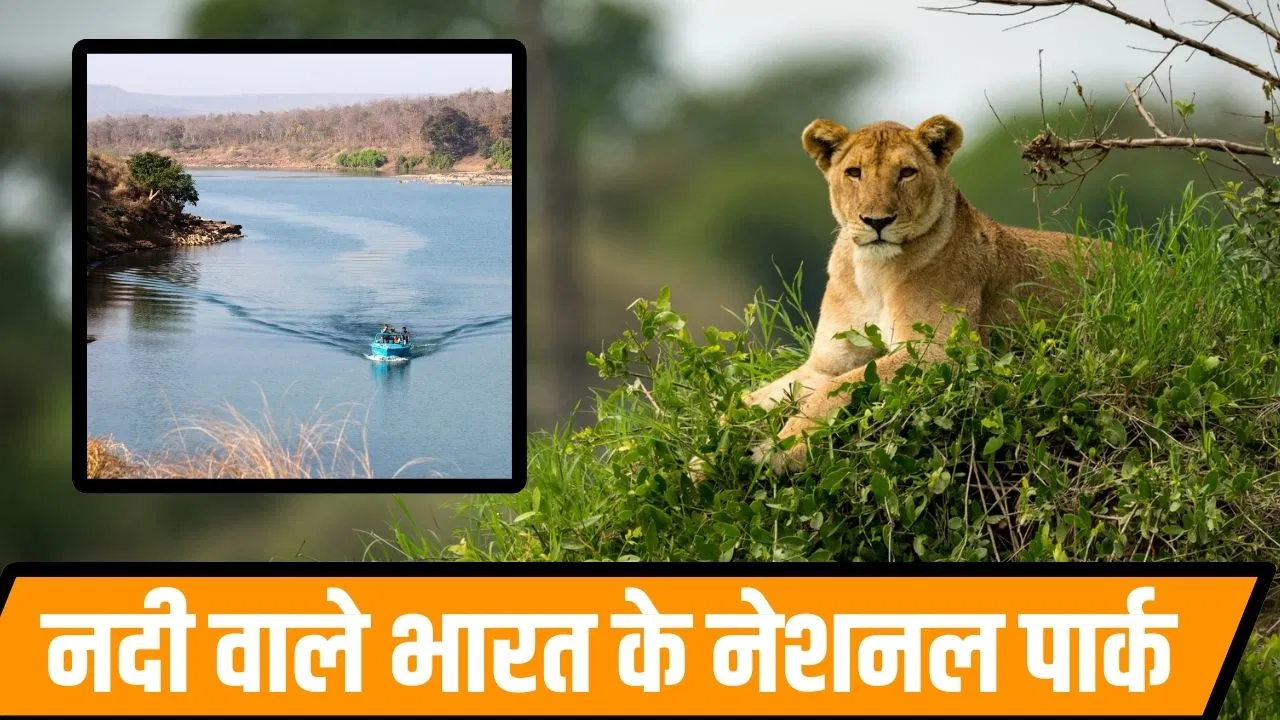भारत के 5 ऐसे नेशनल पार्क जिनके करीब से गुजरी है नदी, नजारे लूट लेते हैं दिल! भारत के 5 ऐसे नेशनल पार्क जिनके करीब से गुजरी है नदी, नजारे लूट लेते हैं दिल!
