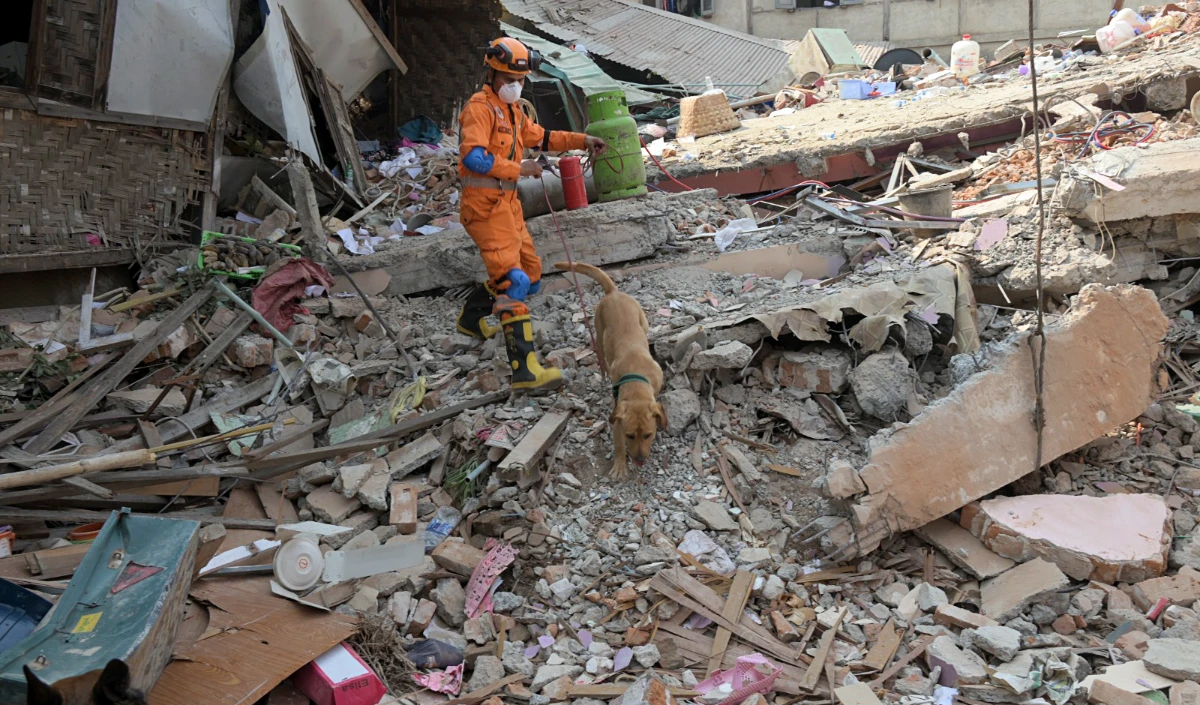 Indonesia Earthquake | सुमात्रा द्वीप में भूकंप के तेज झटके! रिक्टर स्केल पर 6.1 की तीव्रता, सुनामी का खतरा नहीं Indonesia Earthquake | सुमात्रा द्वीप में भूकंप के तेज झटके! रिक्टर स्केल पर 6.1 की तीव्रता, सुनामी का खतरा नहीं