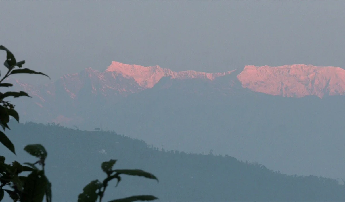 Nepal Airlines का India Map विवाद: भारी बवाल के बाद मांगी माफी, पोस्ट डिलीट की Nepal Airlines का India Map विवाद: भारी बवाल के बाद मांगी माफी, पोस्ट डिलीट की