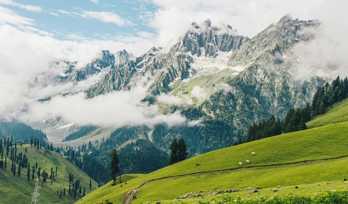 Summer Vacation पर IRCTC का तोहफा: Kashmir की वादियों में 6 दिन, रहना-खाना-घूमना सब शामिल Summer Vacation पर IRCTC का तोहफा: Kashmir की वादियों में 6 दिन, रहना-खाना-घूमना सब शामिल