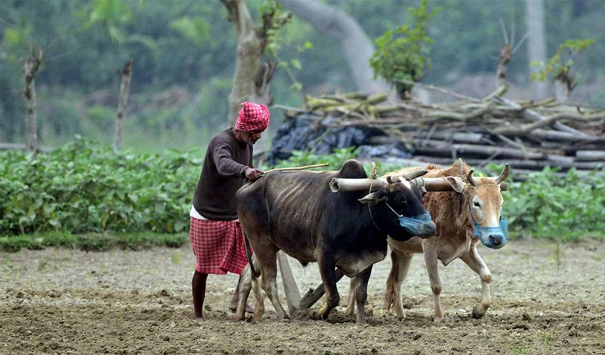 उर्वरक उपयोग में 50 प्रतिशत कमी से खेती-किसानी में आएगा क्रान्तिकारी बदलाव उर्वरक उपयोग में 50 प्रतिशत कमी से खेती-किसानी में आएगा क्रान्तिकारी बदलाव