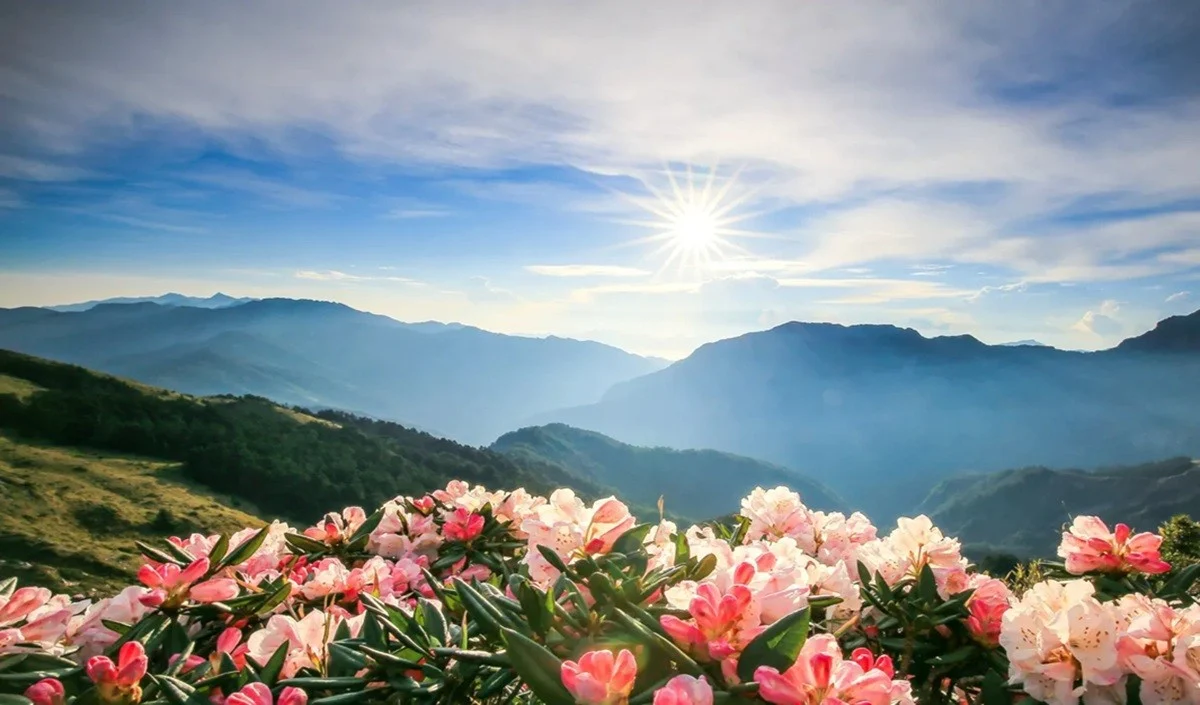 Travel Tips: वीकेंड पर दिल्ली की गर्मी से पाएं राहत, 300 KM में ये 3 जगहें हैं Best Travel Tips: वीकेंड पर दिल्ली की गर्मी से पाएं राहत, 300 KM में ये 3 जगहें हैं Best