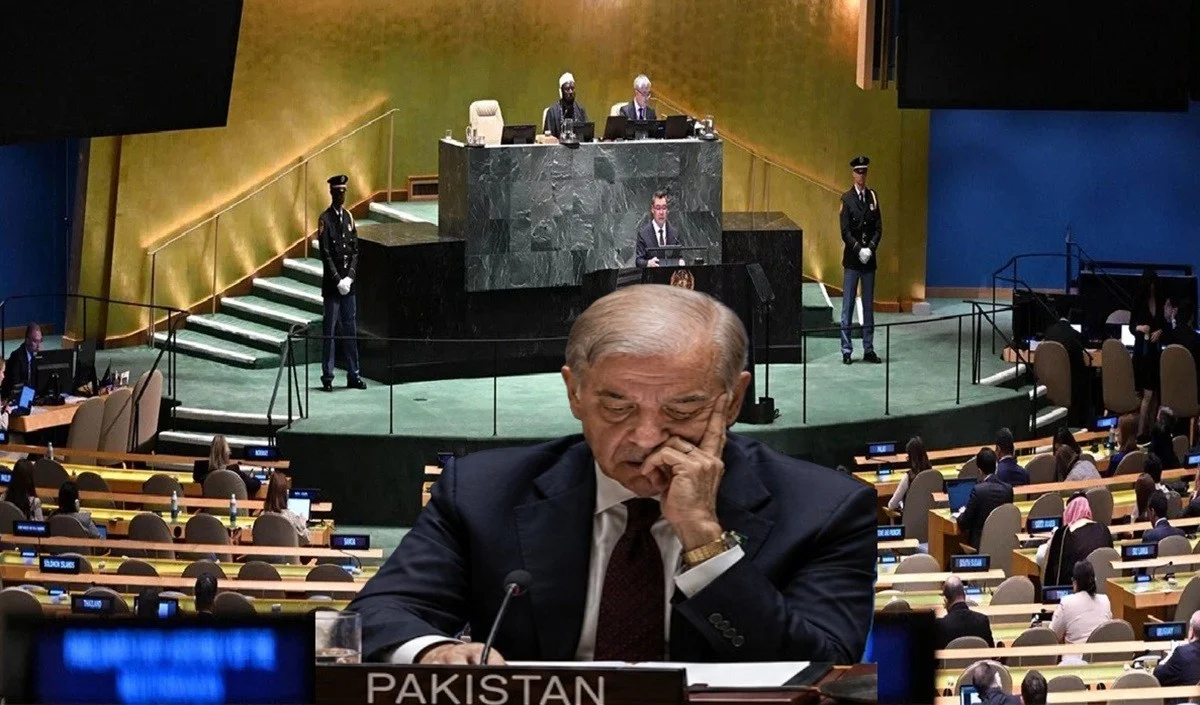 पानी दिलवा दो…UNSC में जाकर भारत का नाम लेकर रोया पाकिस्तान पानी दिलवा दो...UNSC में जाकर भारत का नाम लेकर रोया पाकिस्तान