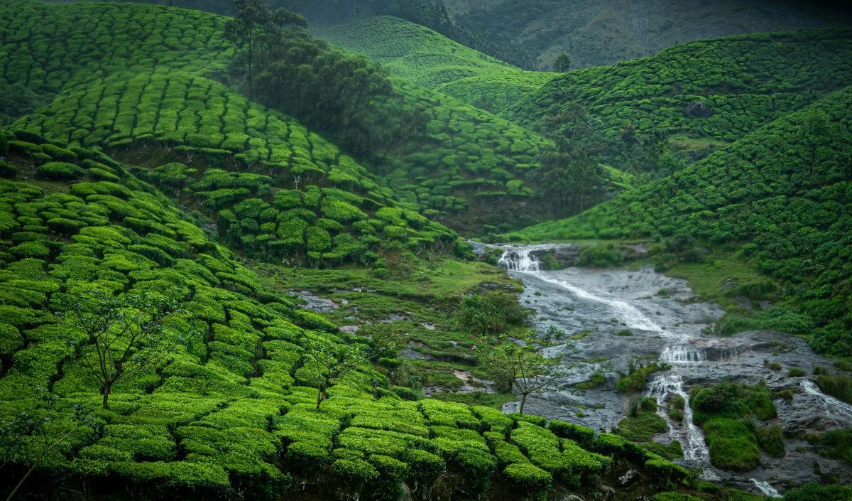 July में Monsoon Trip का प्लान? IRCTC लाया 10 हजार से भी सस्ते Tour Package, देखें पूरी लिस्ट July में Monsoon Trip का प्लान? IRCTC लाया 10 हजार से भी सस्ते Tour Package, देखें पूरी लिस्ट
