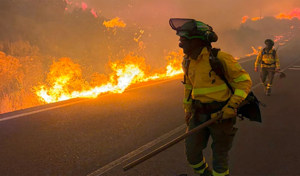 Spain Wildfire: दक्षिणी स्पेन के जंगलों में आग का तांडव, 11 लोगों की मौत, 600 से ज़्यादा बेघर Spain Wildfire: दक्षिणी स्पेन के जंगलों में आग का तांडव, 11 लोगों की मौत, 600 से ज़्यादा बेघर