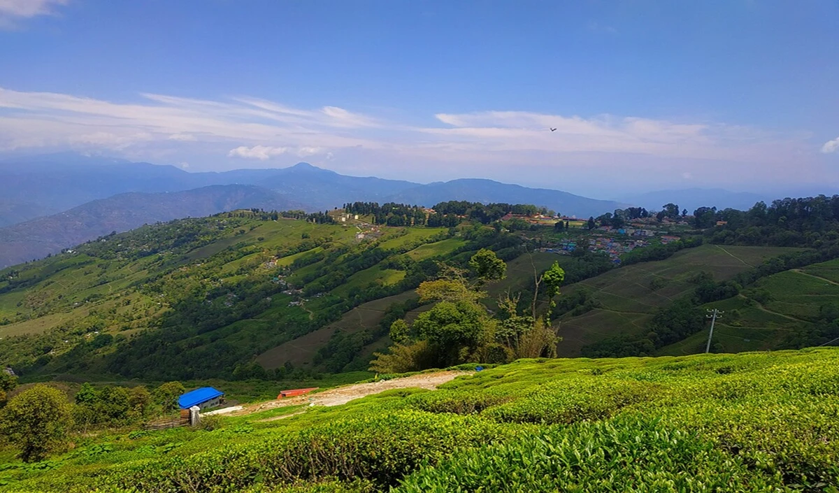 Travel Tips: मानसून में Landslide का खतरा? सुरक्षित सफर के लिए बेस्ट हैं ये 4 Hill Stations, पढ़ें Travel Tips Travel Tips: मानसून में Landslide का खतरा? सुरक्षित सफर के लिए बेस्ट हैं ये 4 Hill Stations, पढ़ें Travel Tips