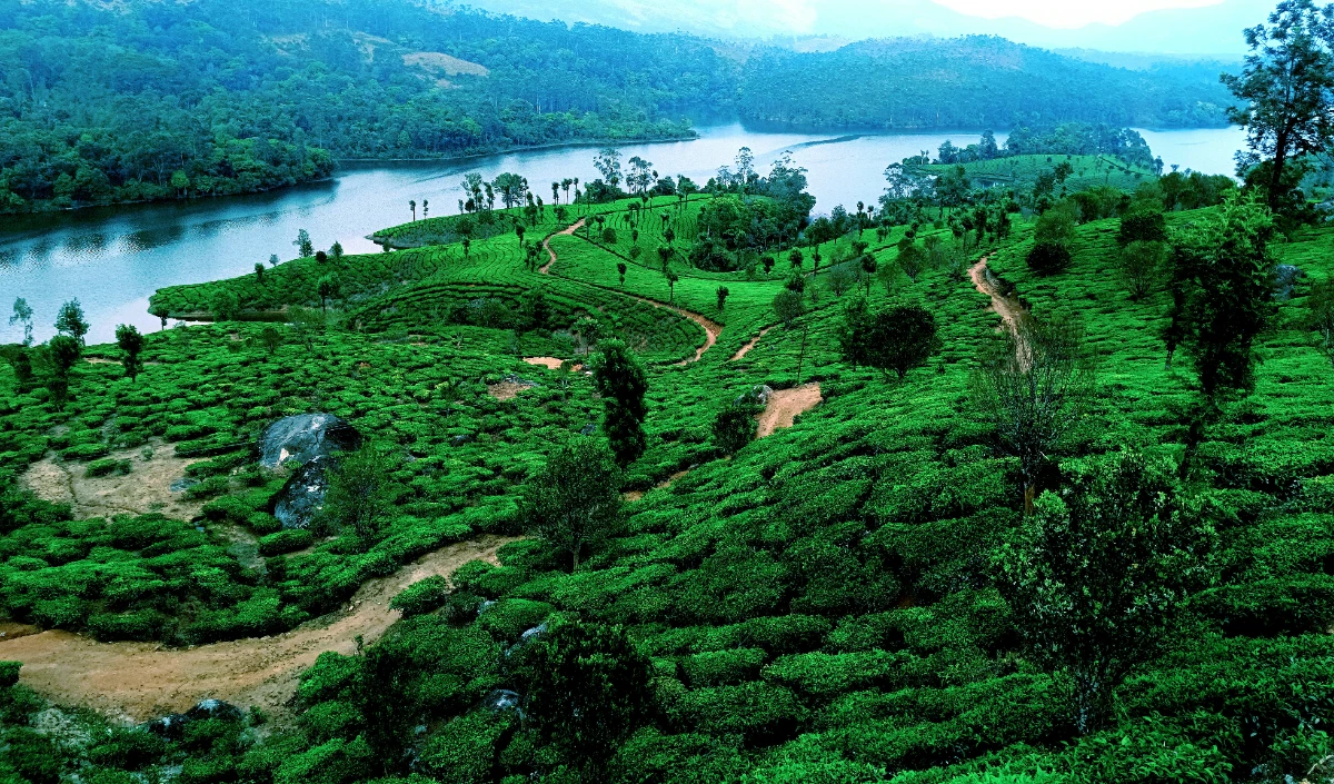 Long Weekend Travel Plan: अगस्त की छुट्टियों में Udaipur और Coorg की हरियाली और Monsoon नजारों का उठाएं लुत्फ Long Weekend Travel Plan: अगस्त की छुट्टियों में Udaipur और Coorg की हरियाली और Monsoon नजारों का उठाएं लुत्फ